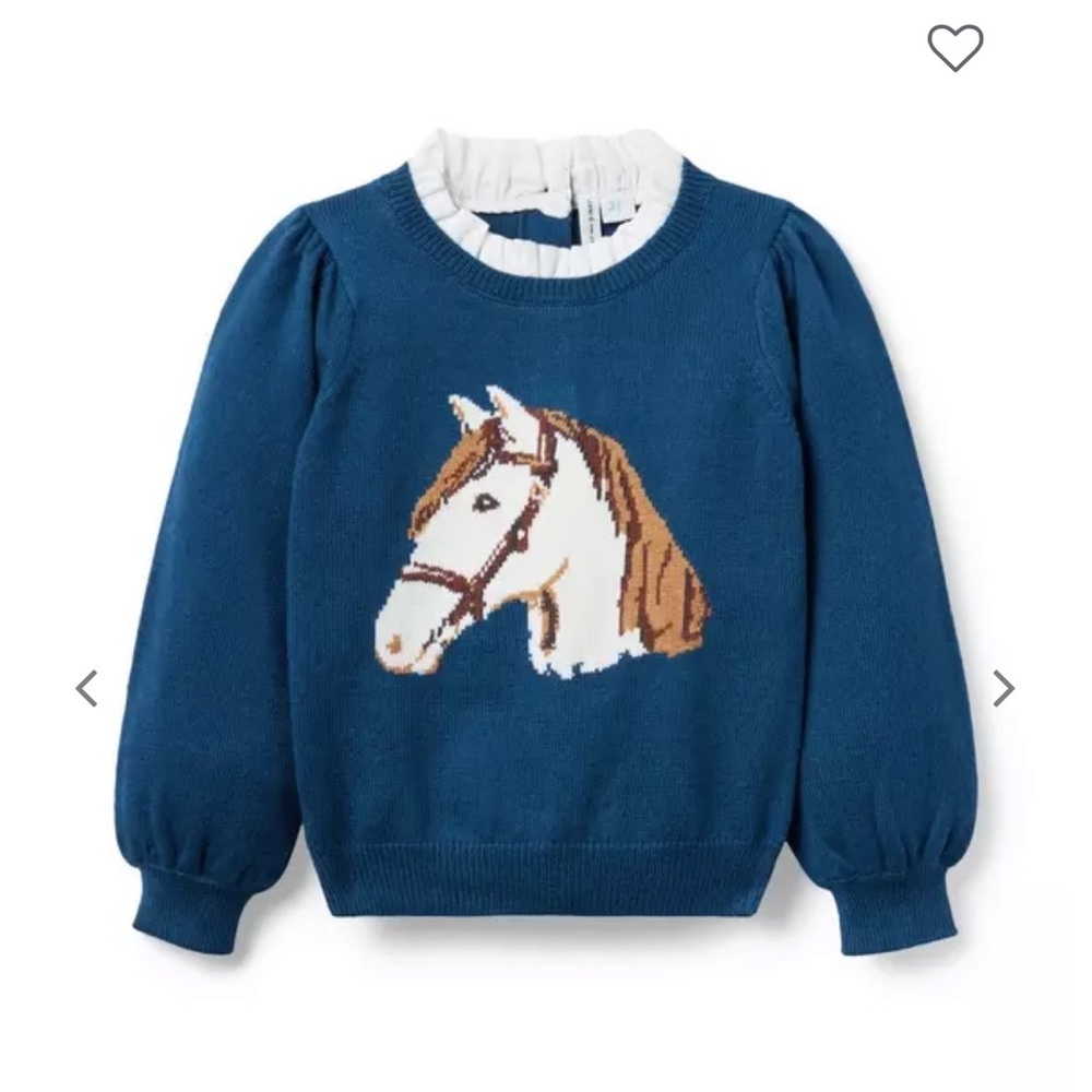 Kids Blue Horse Graphic Sweater